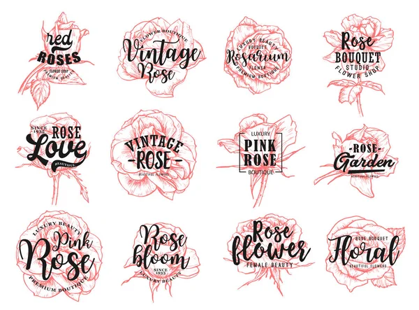 Rosa vermelha flor vintage boutique esboço lettering — Vetor de Stock