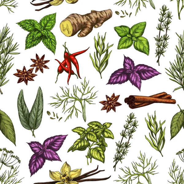 Hierbas orgánicas y condimentos de especias patrón de boceto — Vector de stock