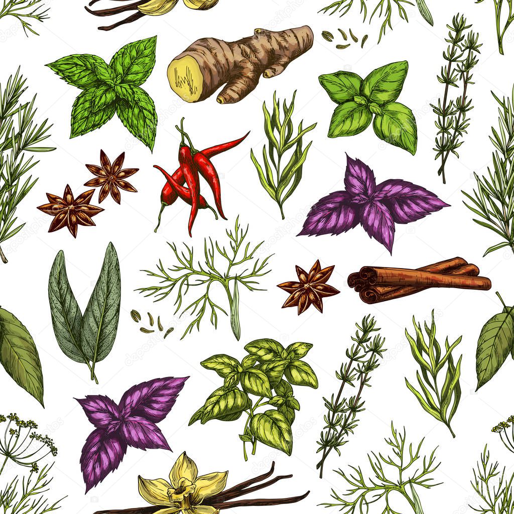 Organic herbs and spice seasonings sketch pattern