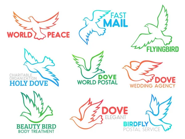 Paloma aves volando iconos de diseño de negocio vector — Archivo Imágenes Vectoriales
