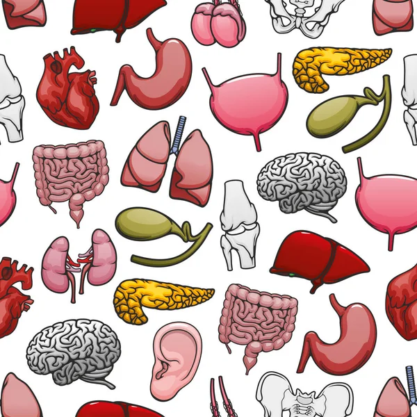 Mänskliga organ och ben medicinsk sömlösa mönster — Stock vektor