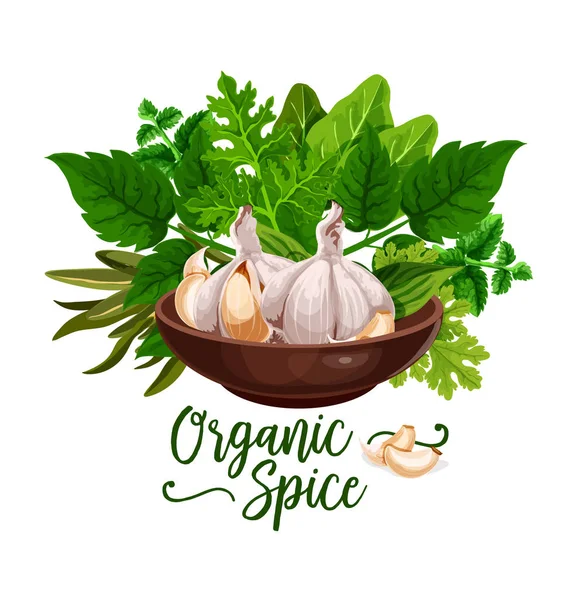Especias orgánicas y carteles de ingredientes de hierbas para cocinar — Vector de stock
