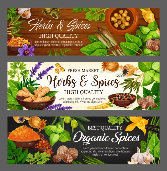Especias, hierbas, verduras y condimentos alimenticios — Archivo Imágenes Vectoriales