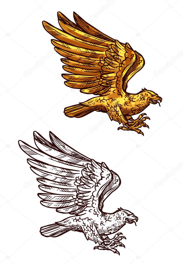 Eagle, gold heraldic falcon or hawk bird