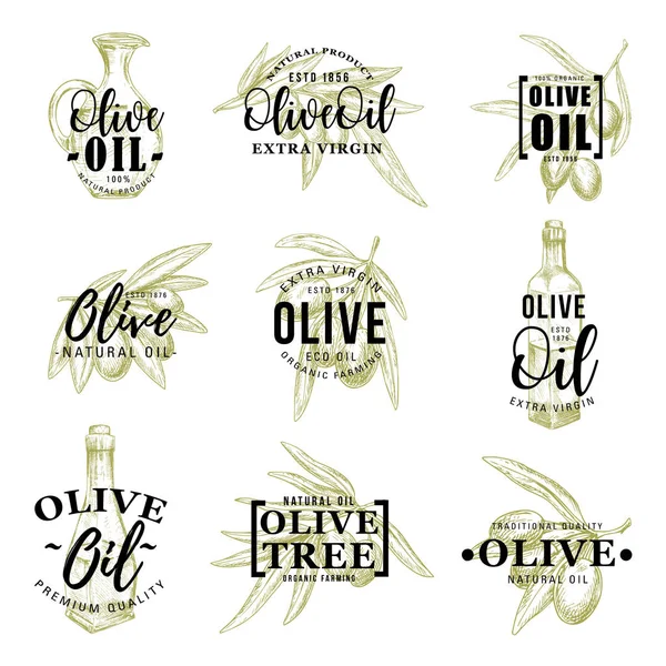 Iconos de aceite de oliva con hojas y botella — Vector de stock