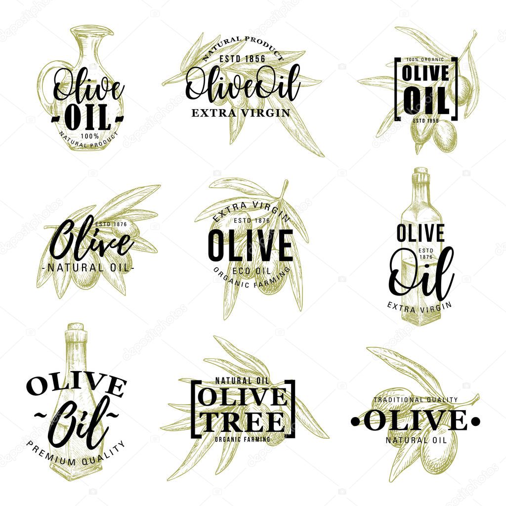 Olive oil icons with leaves and bottle