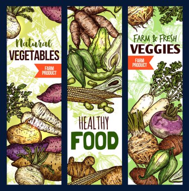 Healthy food banners, exotic vegetables clipart