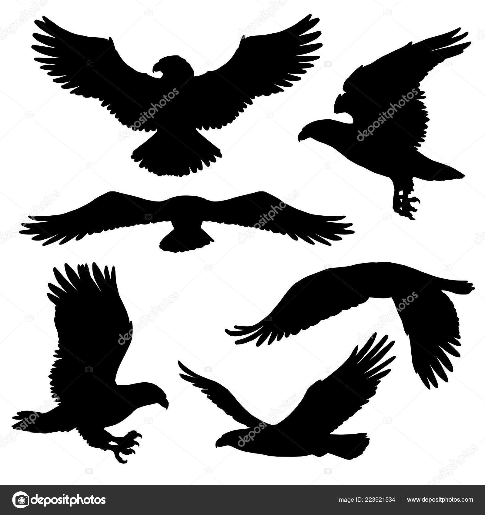 Silueta de águila calva imágenes de stock de arte vectorial | Depositphotos