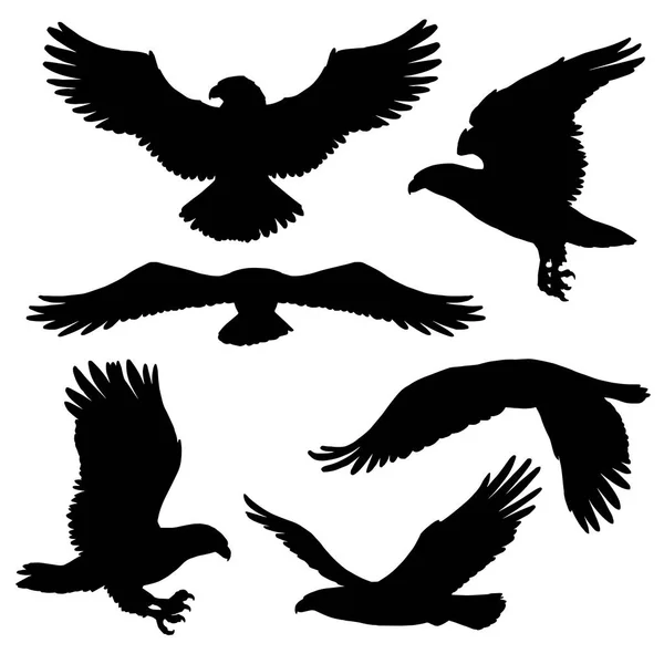 Siluetas de águila o halcón con alas anchas — Vector de stock