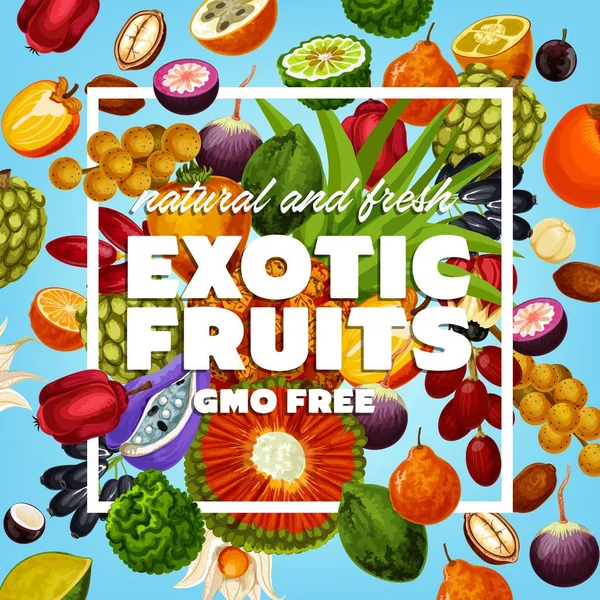 Frutas e bagas exóticas isentas de OGM —  Vetores de Stock