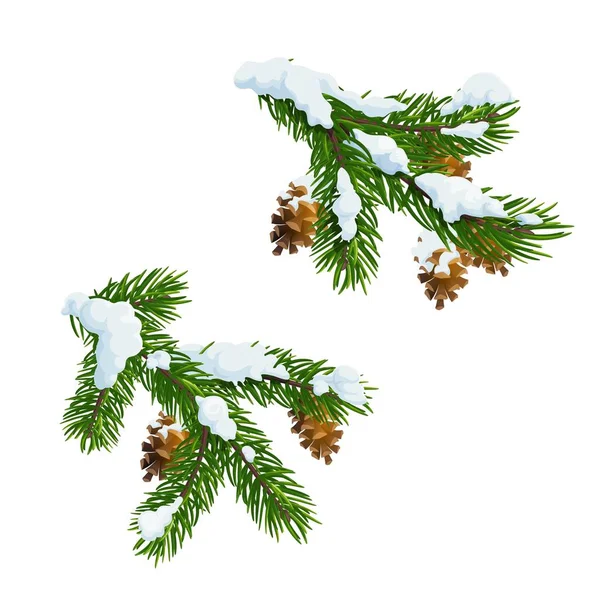 Pinheiro de Natal e ramos de abeto em neve — Vetor de Stock