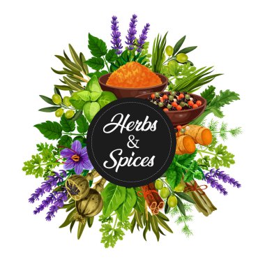 Organik bitki ve baharat baharat Grup