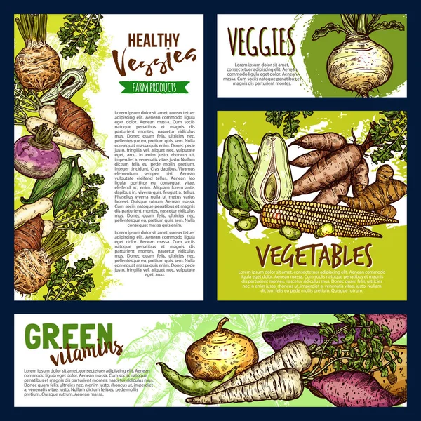Grönsaker och gården grönsaker affischer och banderoller — Stock vektor