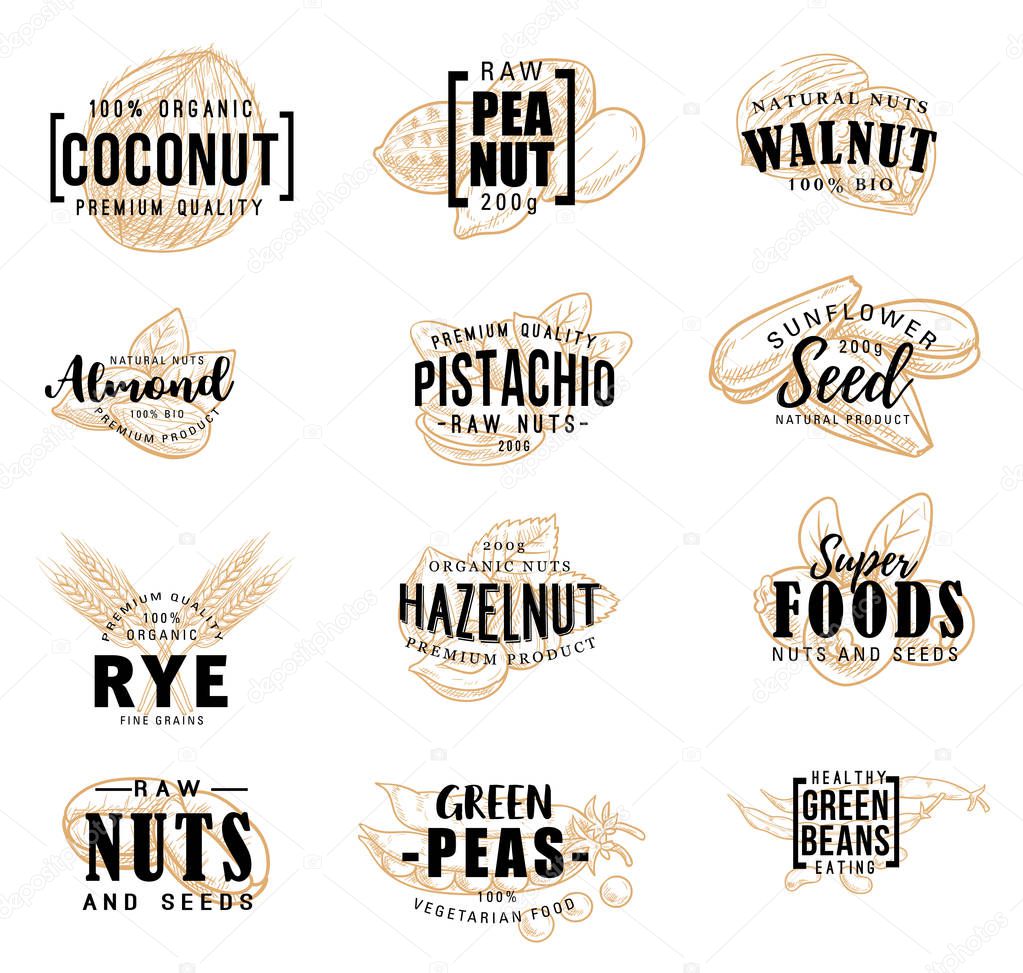 Nuts and fruit seeds sketch lettering. Vector farm market and dessert calligraphy, peanut or pistachio and almond, coconut nut and hazelnut or walnut and green peas healthy raw food