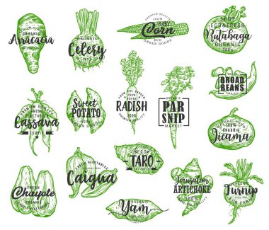 Exotic vegetable silhouettes with lettering clipart
