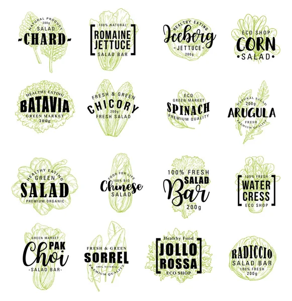 沙拉蔬菜图标, 矢量刻字 — 图库矢量图片