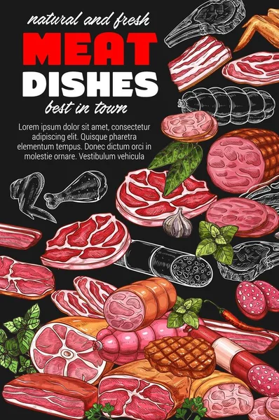 Fleischerzeugnisse, Skizzenposter mit Fleischgerichten — Stockvektor