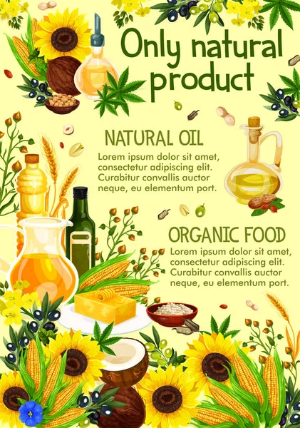 Plants and herbs, olive oil, vector — Stock Vector