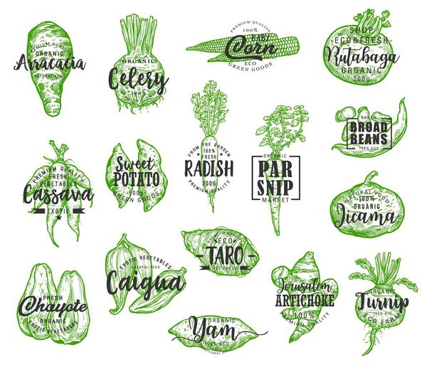 Exotic vegetable silhouettes with lettering