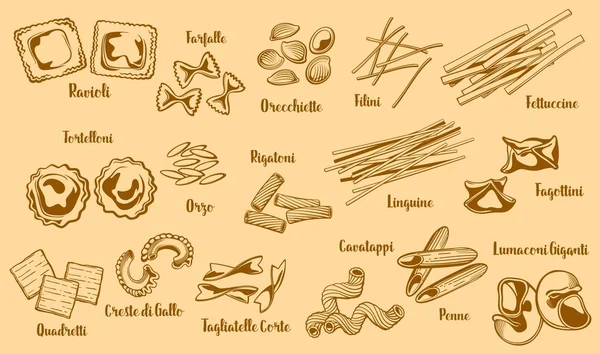 Types de pâtes italiennes populaires, vecteur — Image vectorielle