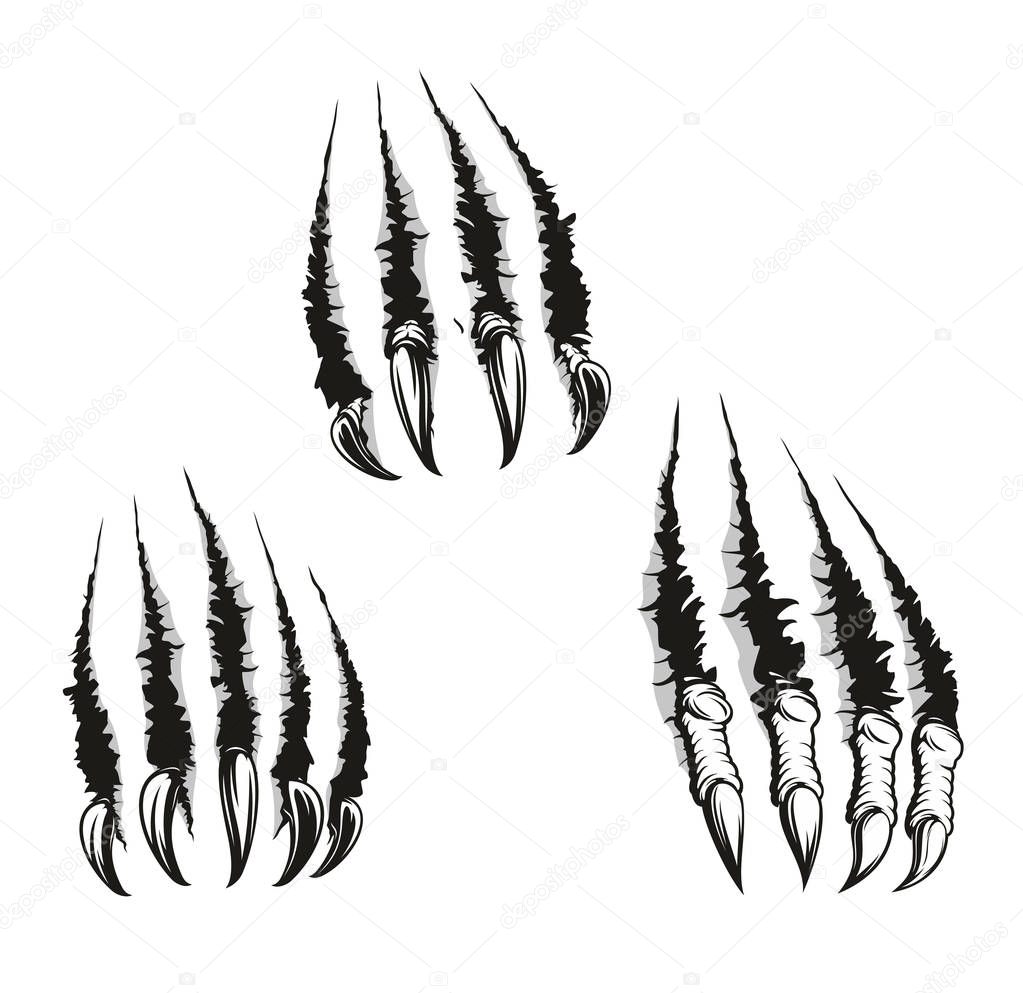 Monster beast claws and scratches, vector