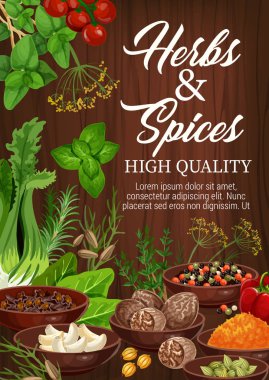 Baharat ve otlar mutfak lezzet baharat