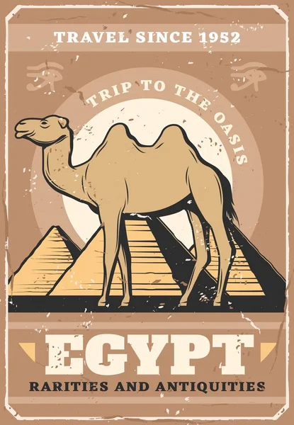 Egipto viajes y cultura tours, vector de póster — Vector de stock
