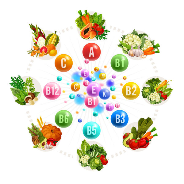 Nutrition of vitamins and minerals, vector