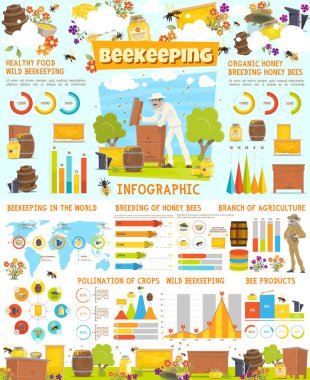 Infographic Arıcılık, grafiklerle istatistikleri