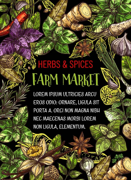 农场市场与草本和香料素描海报 — 图库矢量图片