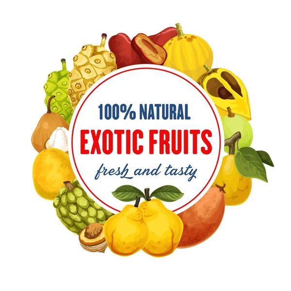 Екзотичний фруктовий значок для ринку продуктів харчування або продуктового магазину — стоковий вектор