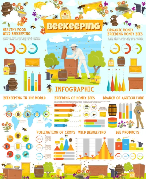 Infographie de l'apiculture, statistiques avec graphiques — Image vectorielle