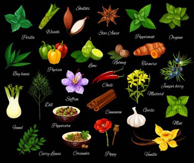 Baharat, ot ve baharat pişirme