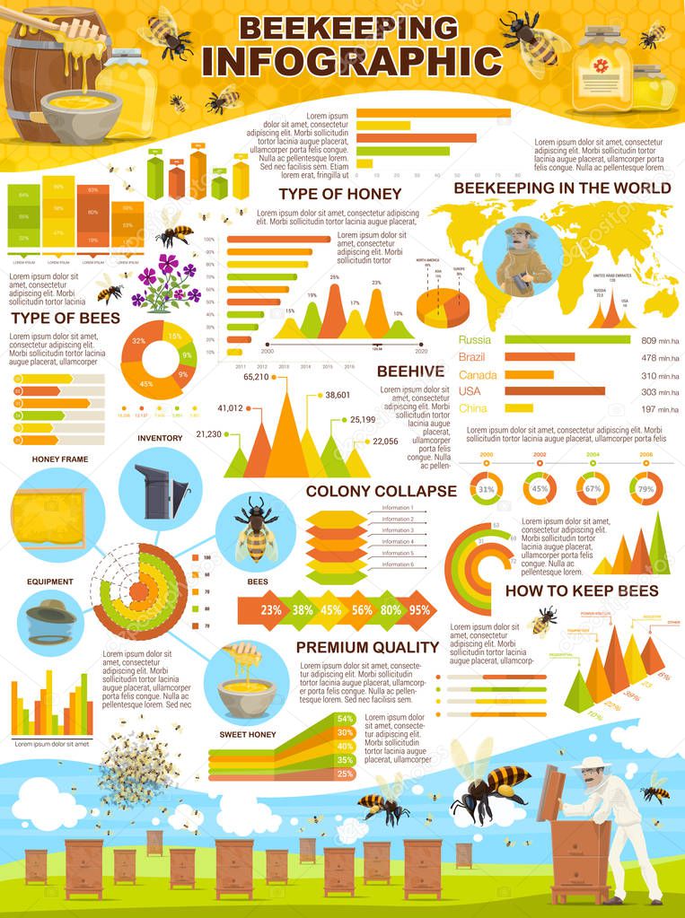 Beekeeping industry infographic poster for apiary