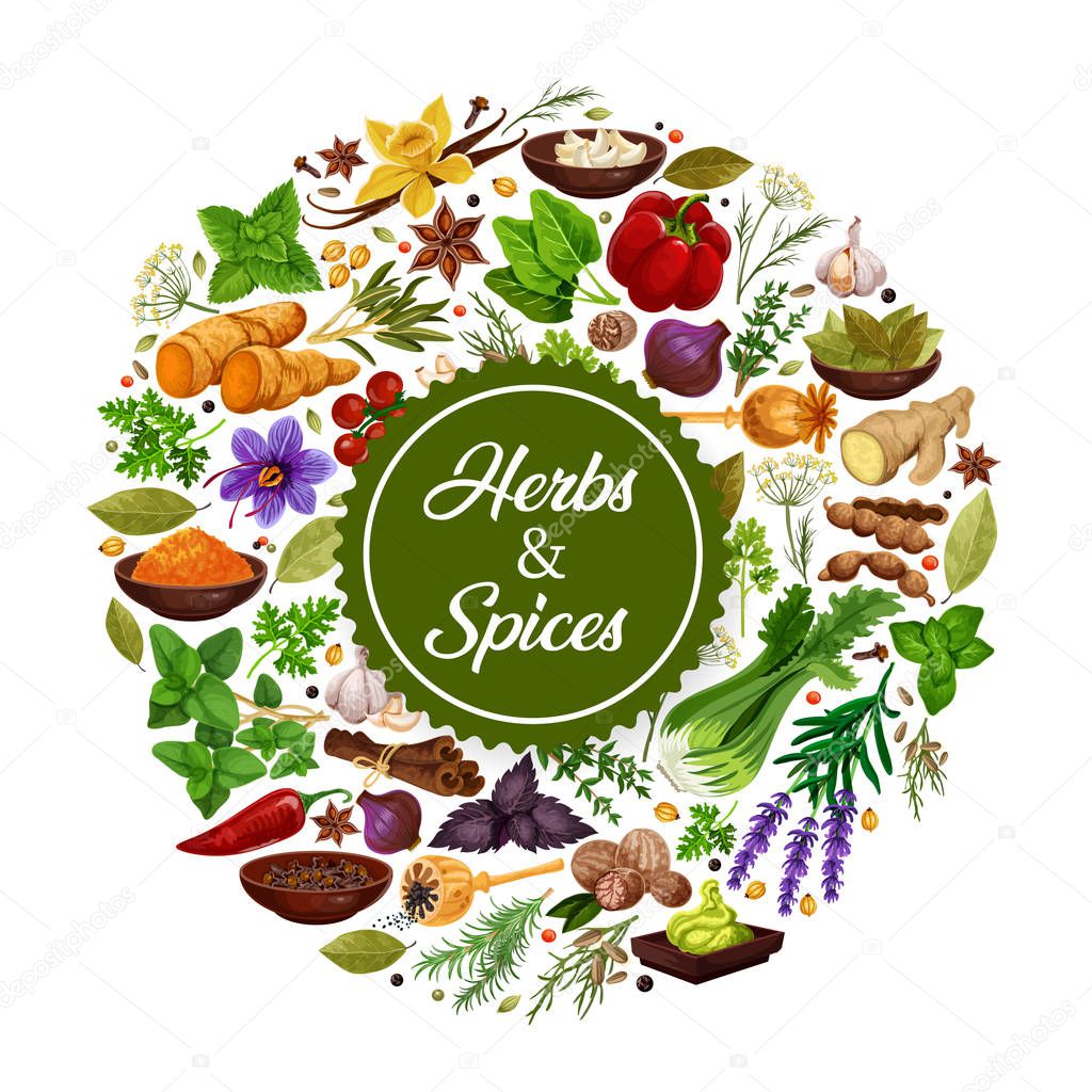 Seasonings icon of herbs and spices for cooking. Grocery store with garlic and saffron, cardamom, ginger, lavender and vanilla. Bell or chili pepper and basil, bay leaf and cinnamon and parsley vector
