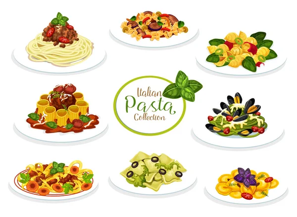 Italian pasta, spaghetti and macaroni dishes — Stock Vector