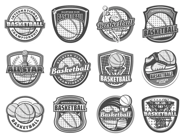 Basketball ball, basket, player. Sport icons — Stock Vector