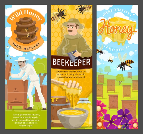 Apiculteur, miel et abeille sur rucher. Apiculture — Image vectorielle