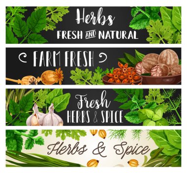 Baharat ve otlar, doğal pişirme baharat