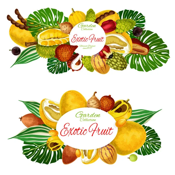 Frutos trópicos exóticos colheita no mercado agrícola — Vetor de Stock