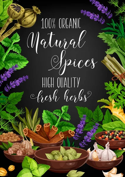 Spices, herbs and seasonings vector — Stock Vector