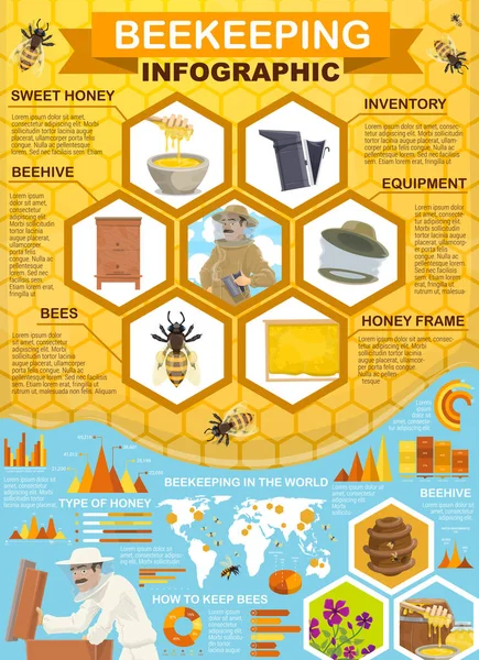 Colección miel apícola, infografía colmenar — Archivo Imágenes Vectoriales