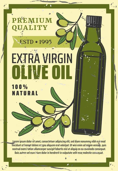 Bottiglia di olio extra vergine di oliva — Vettoriale Stock