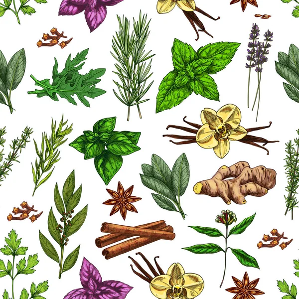 Épices, herbes et assaisonnements alimentaires motif sans couture — Image vectorielle