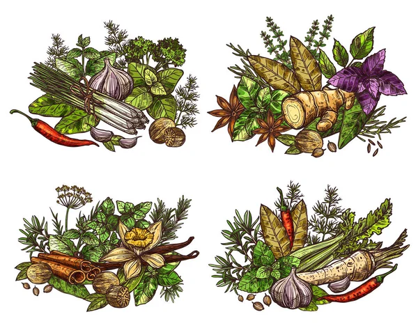 Assaisonnements alimentaires, épices, herbes et légumes — Image vectorielle