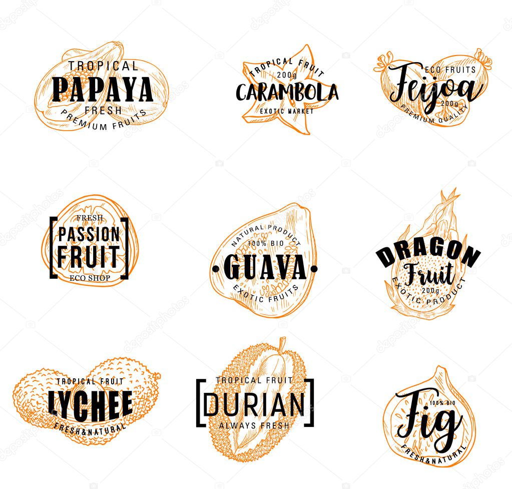 Exotical fruits and tropical berries lettering