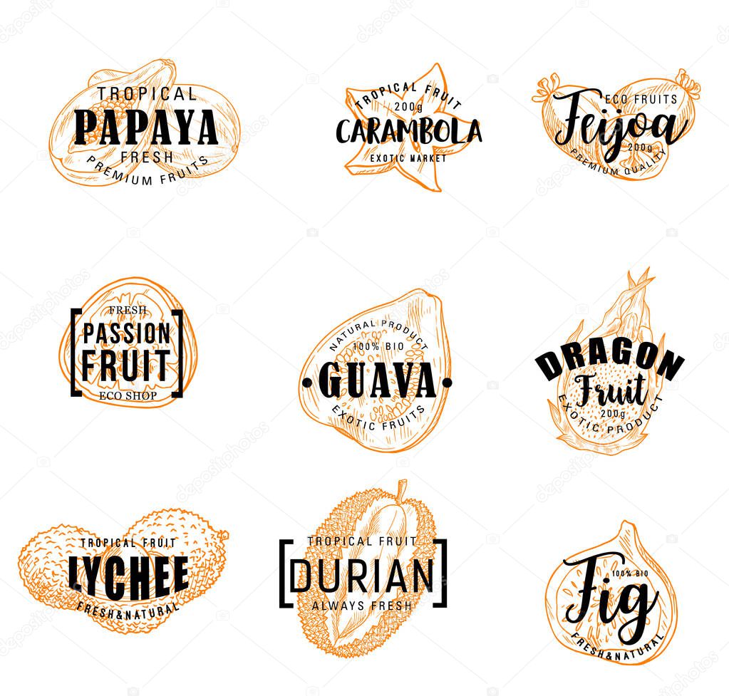 Exotic fruits lettering of tropical berries sketches. Papaya, feijoa and fig, durian, passion and dragon fruits, guava, lychee and carambola vector icons. Food and natural juice drink label design