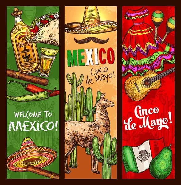 Cinco de Mayo Mexikói ünnep fiesta ünneplés — Stock Vector