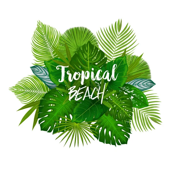 Летний плакат с листьями тропических пальм и экзотических деревьев — стоковый вектор