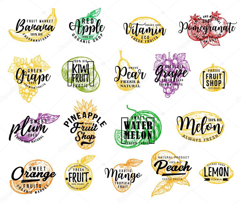 Fruit isolated icons, lettering. Vector banana and red apple, lemon and pomegranate, grape and kiwi, pear and plum. Pineapple and watermelon, melon and orange, mango and peach